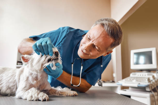 Best After-Hours Emergency Dentist in Huntington, VA